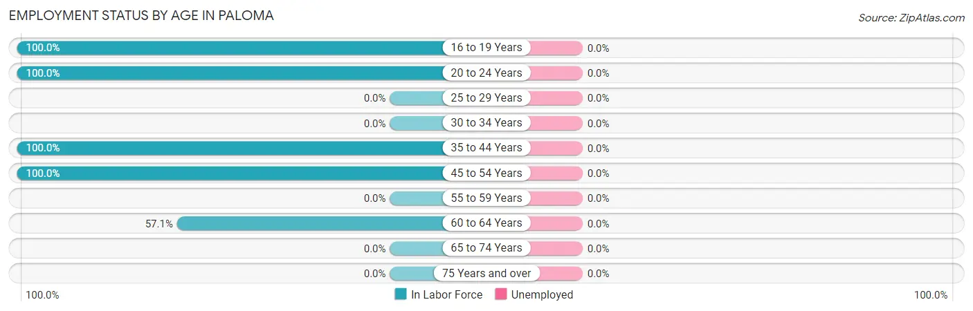 Employment Status by Age in Paloma