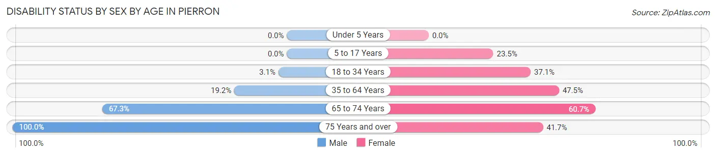 Disability Status by Sex by Age in Pierron