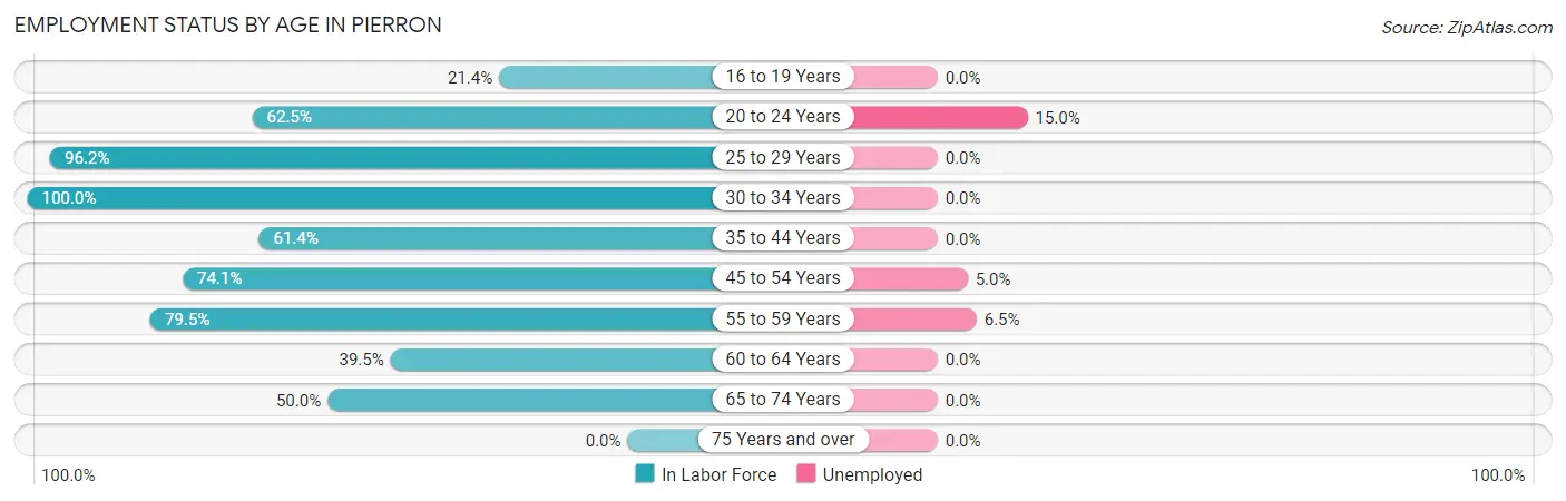 Employment Status by Age in Pierron