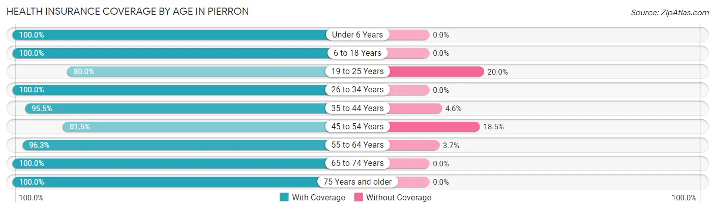 Health Insurance Coverage by Age in Pierron