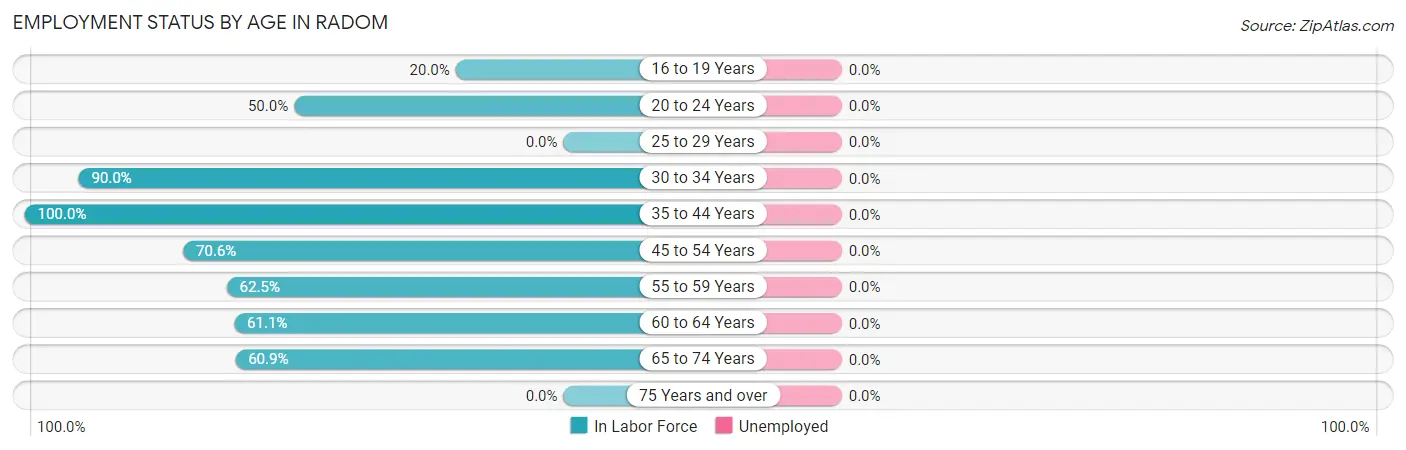 Employment Status by Age in Radom