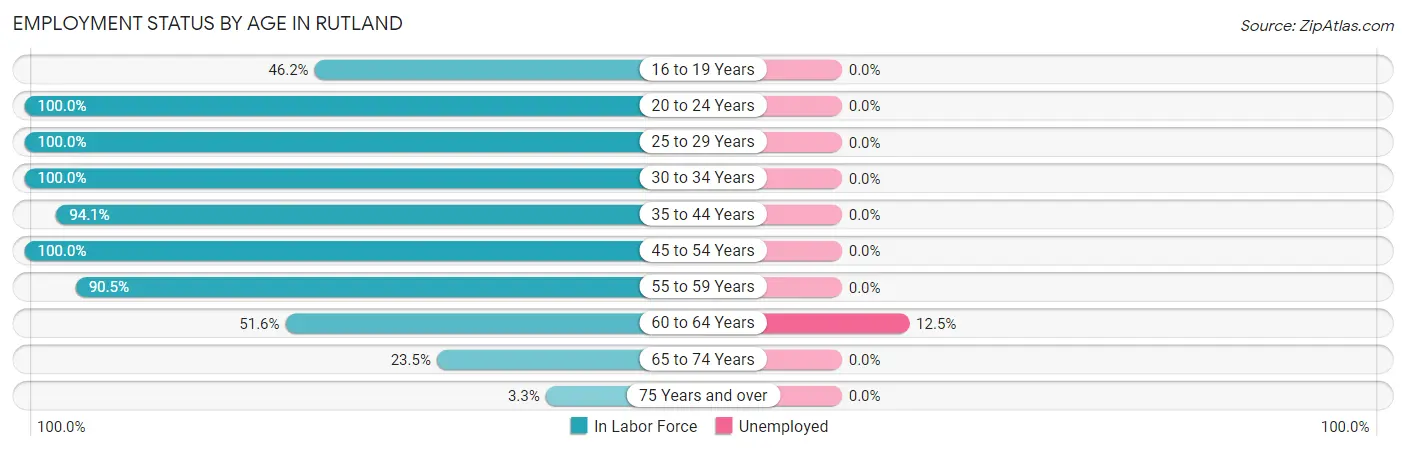 Employment Status by Age in Rutland