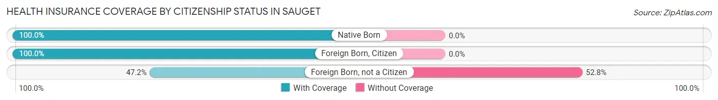 Health Insurance Coverage by Citizenship Status in Sauget