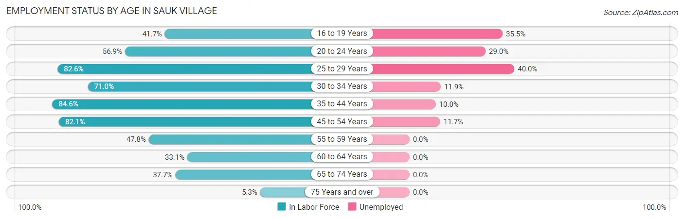 Employment Status by Age in Sauk Village