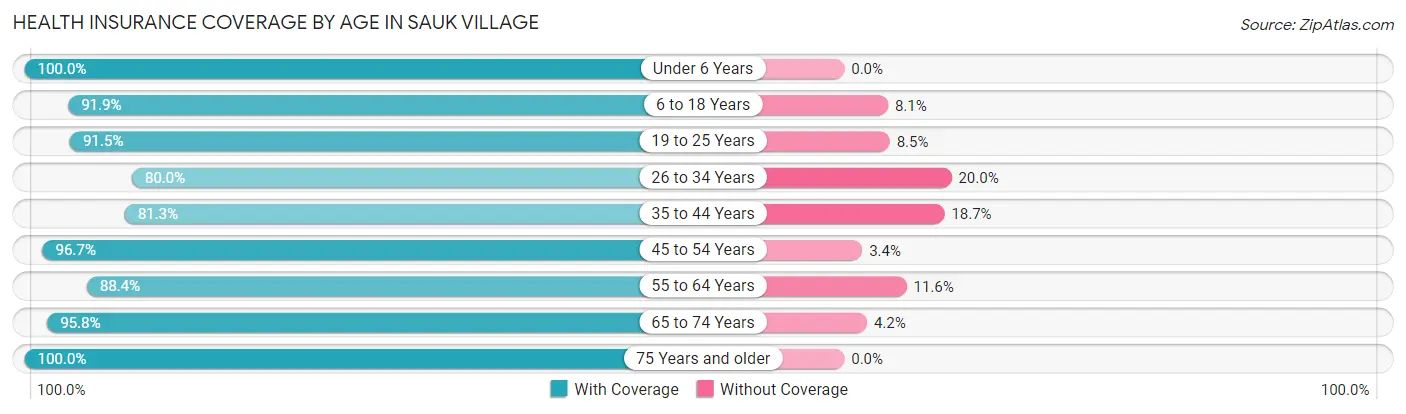 Health Insurance Coverage by Age in Sauk Village