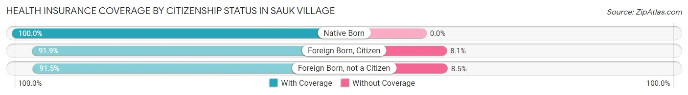Health Insurance Coverage by Citizenship Status in Sauk Village
