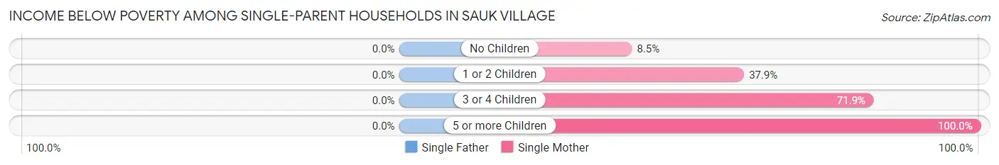 Income Below Poverty Among Single-Parent Households in Sauk Village