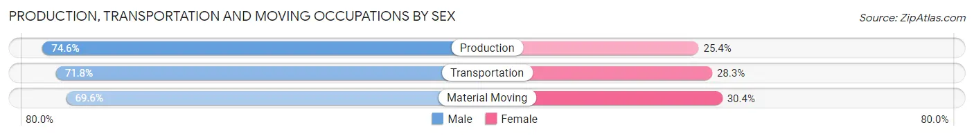 Production, Transportation and Moving Occupations by Sex in Sauk Village