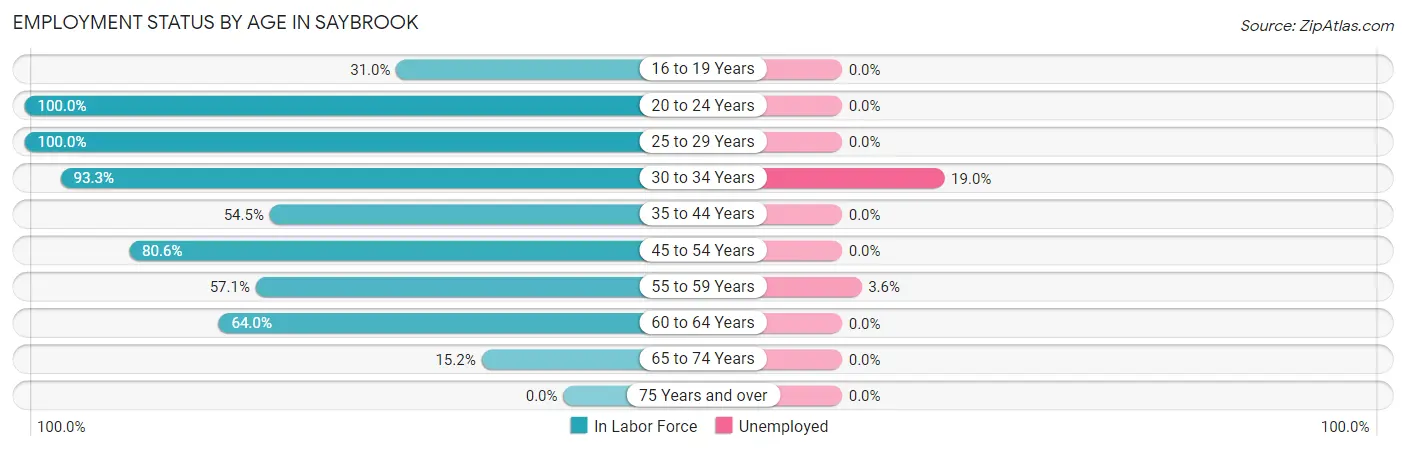Employment Status by Age in Saybrook