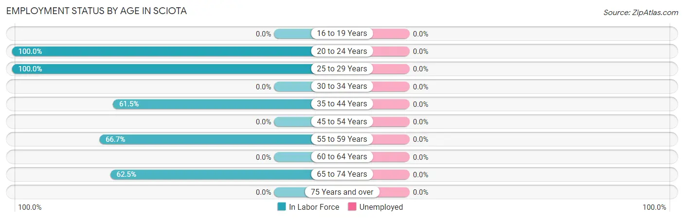 Employment Status by Age in Sciota
