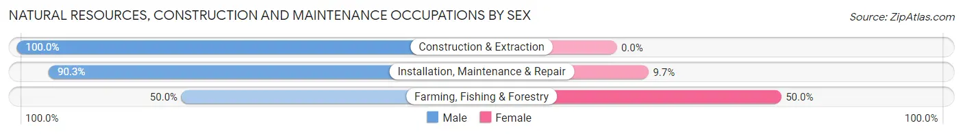 Natural Resources, Construction and Maintenance Occupations by Sex in Shabbona