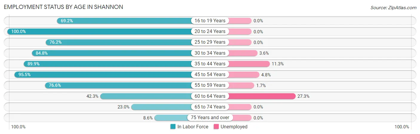 Employment Status by Age in Shannon