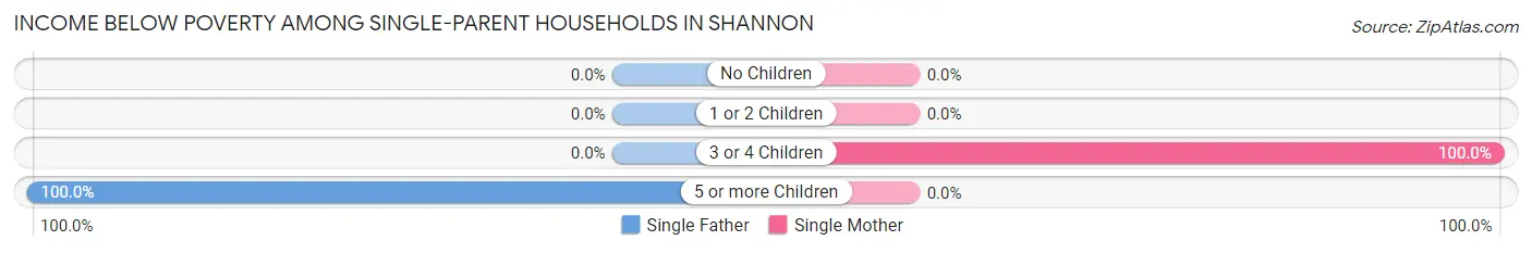 Income Below Poverty Among Single-Parent Households in Shannon