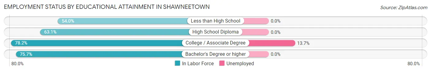 Employment Status by Educational Attainment in Shawneetown