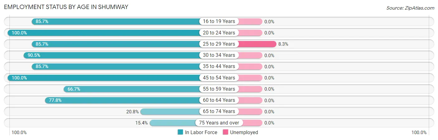 Employment Status by Age in Shumway