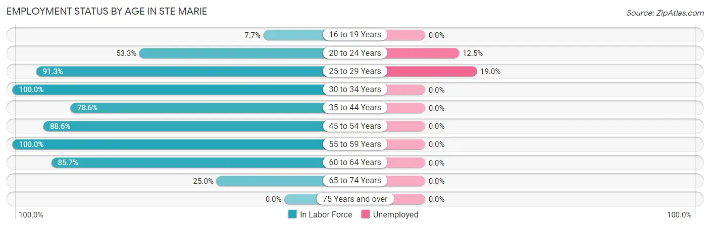 Employment Status by Age in Ste Marie