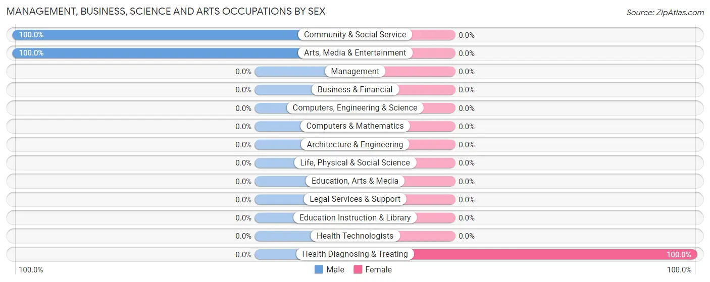 Management, Business, Science and Arts Occupations by Sex in Symerton