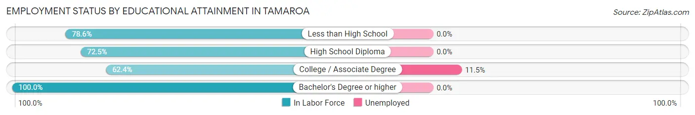 Employment Status by Educational Attainment in Tamaroa