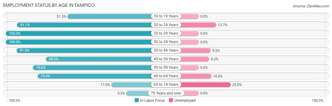 Employment Status by Age in Tampico