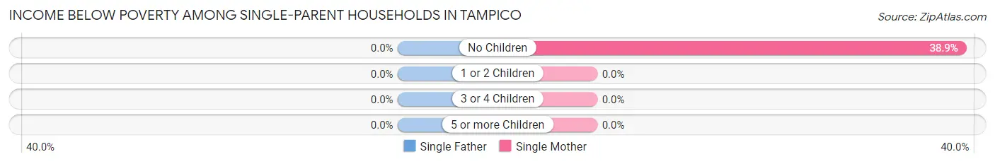 Income Below Poverty Among Single-Parent Households in Tampico
