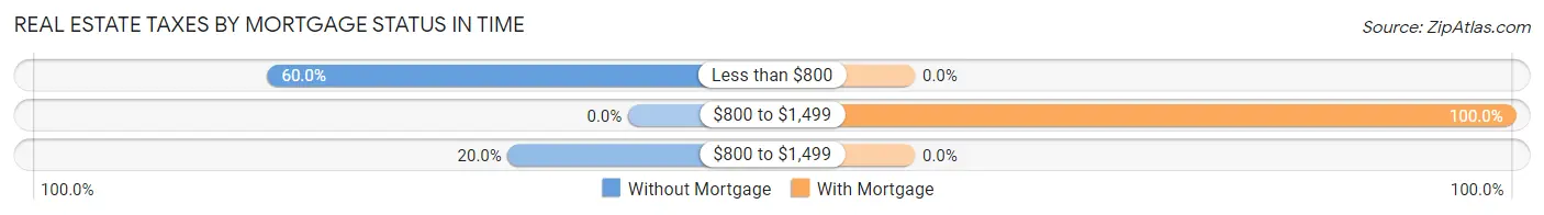 Real Estate Taxes by Mortgage Status in Time