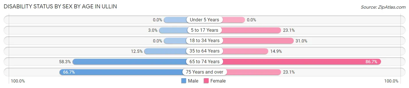 Disability Status by Sex by Age in Ullin