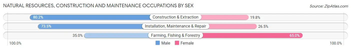 Natural Resources, Construction and Maintenance Occupations by Sex in Urbana
