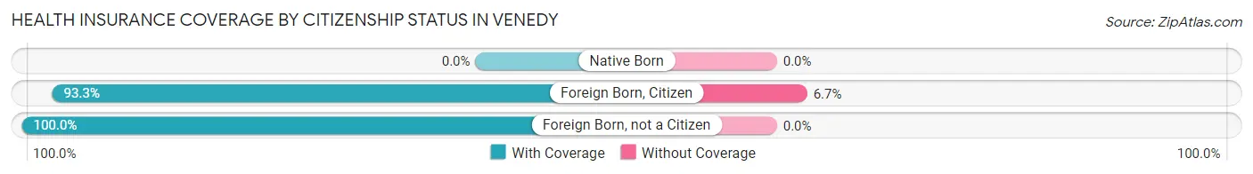 Health Insurance Coverage by Citizenship Status in Venedy