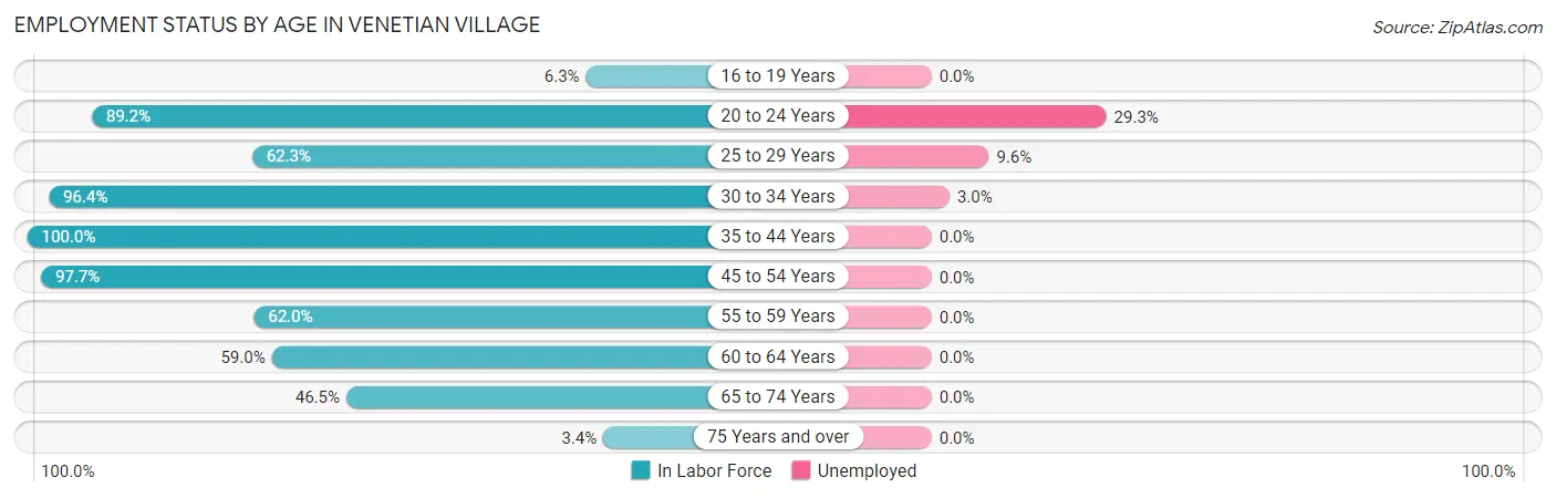 Employment Status by Age in Venetian Village