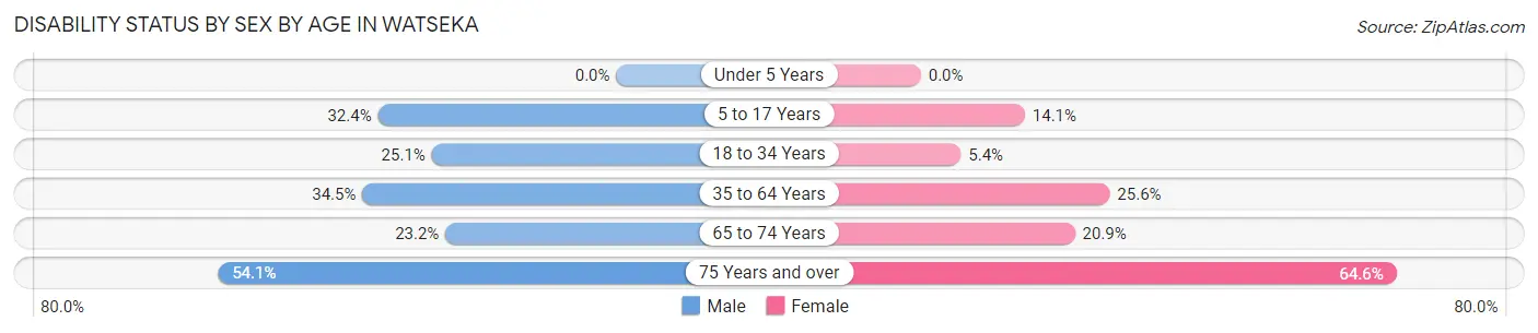 Disability Status by Sex by Age in Watseka