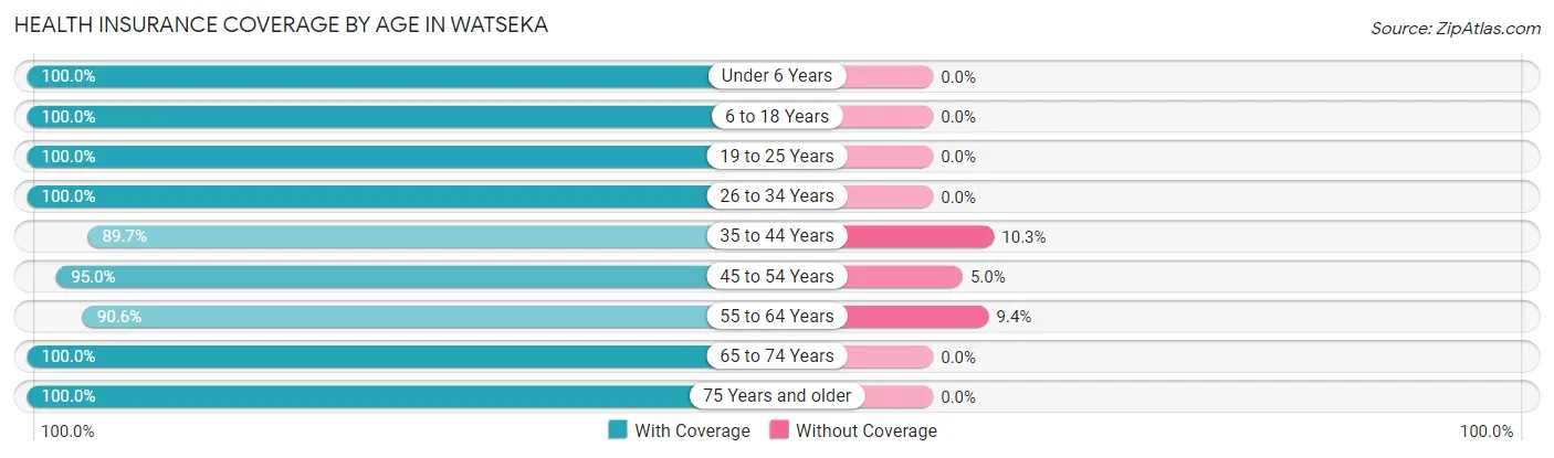Health Insurance Coverage by Age in Watseka