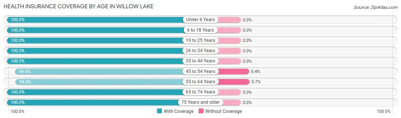 Health Insurance Coverage by Age in Willow Lake