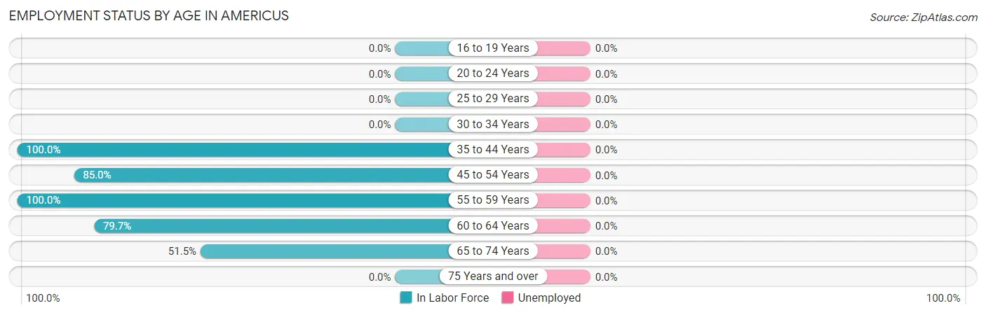 Employment Status by Age in Americus