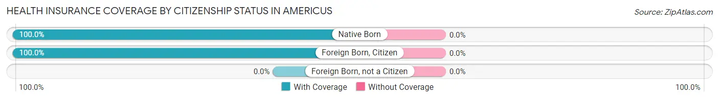 Health Insurance Coverage by Citizenship Status in Americus