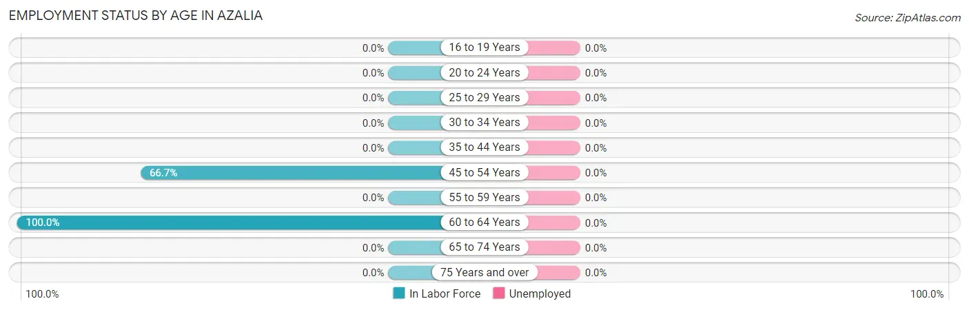 Employment Status by Age in Azalia