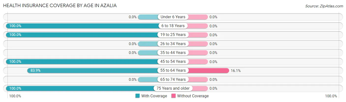 Health Insurance Coverage by Age in Azalia