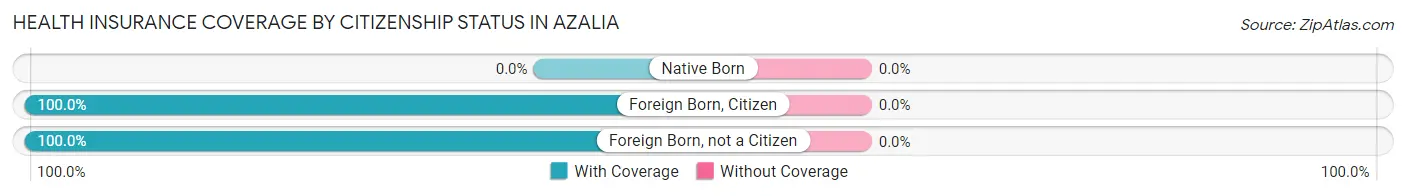 Health Insurance Coverage by Citizenship Status in Azalia