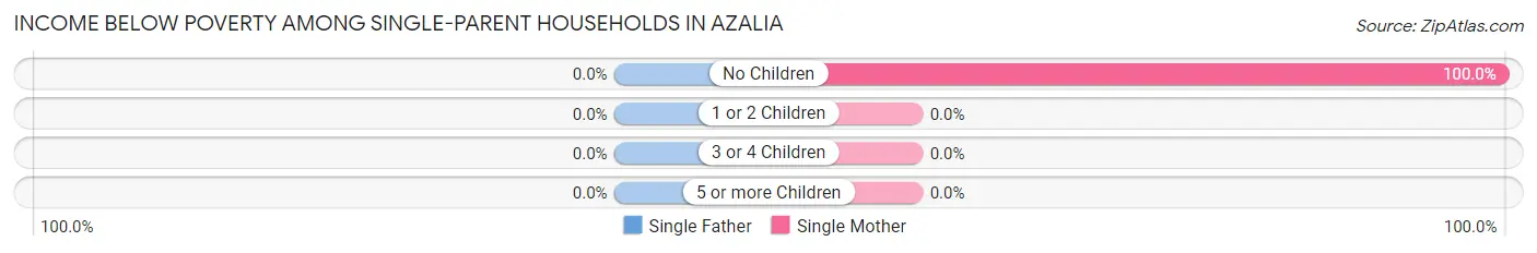 Income Below Poverty Among Single-Parent Households in Azalia
