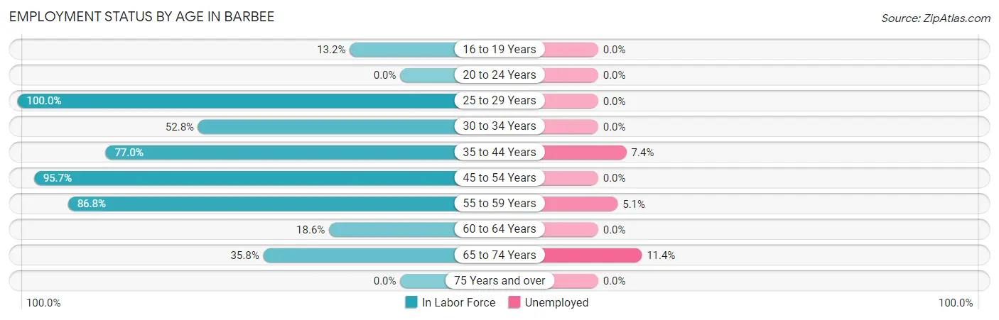Employment Status by Age in Barbee