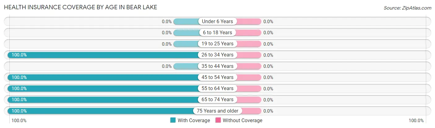 Health Insurance Coverage by Age in Bear Lake