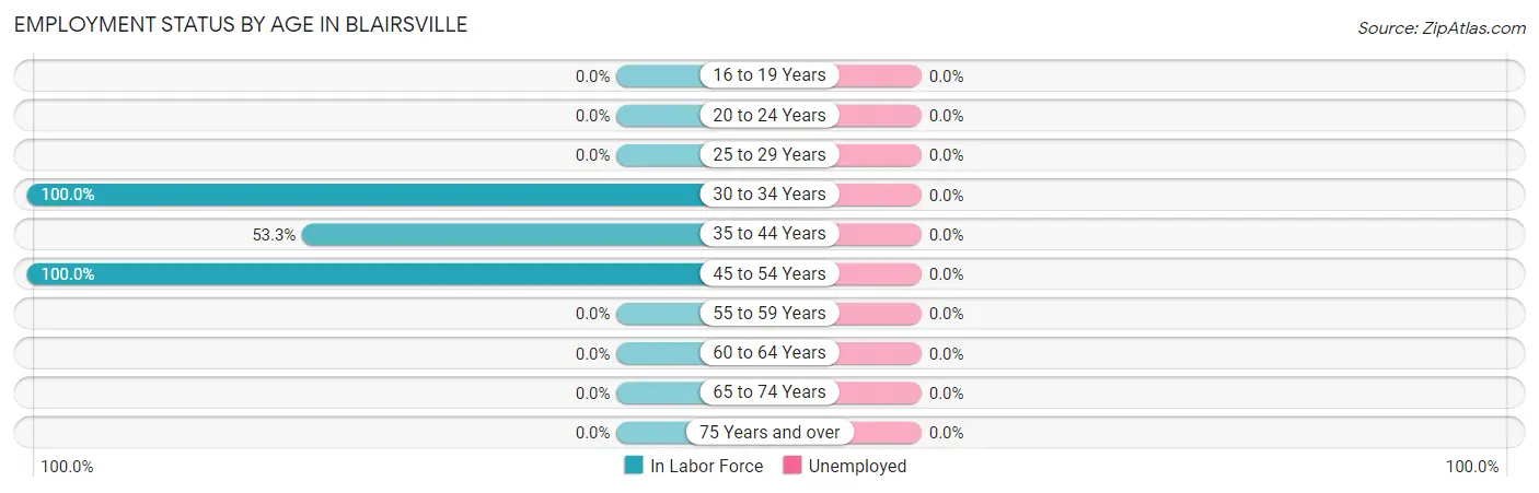 Employment Status by Age in Blairsville