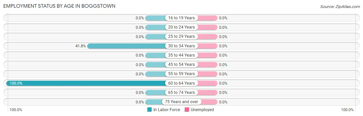 Employment Status by Age in Boggstown