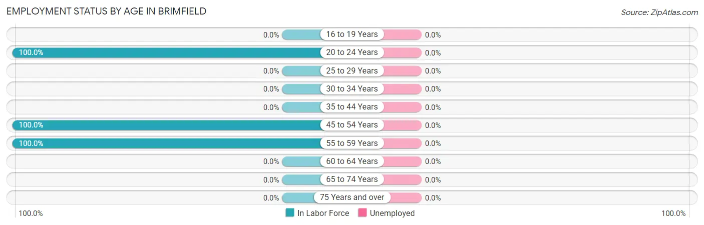 Employment Status by Age in Brimfield