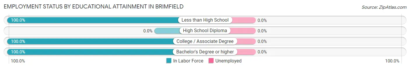 Employment Status by Educational Attainment in Brimfield