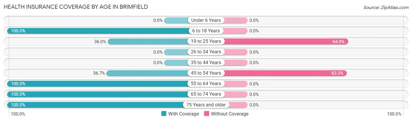 Health Insurance Coverage by Age in Brimfield