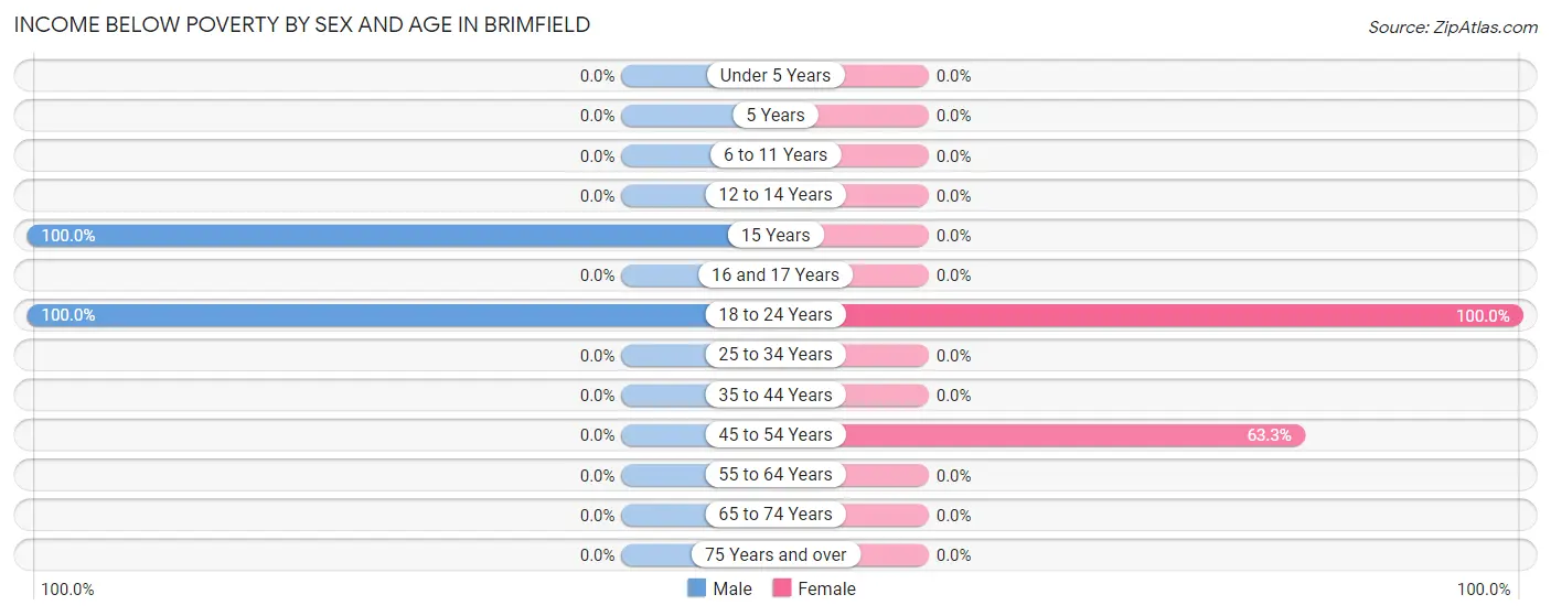 Income Below Poverty by Sex and Age in Brimfield