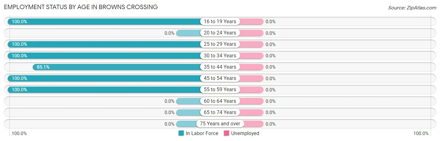Employment Status by Age in Browns Crossing