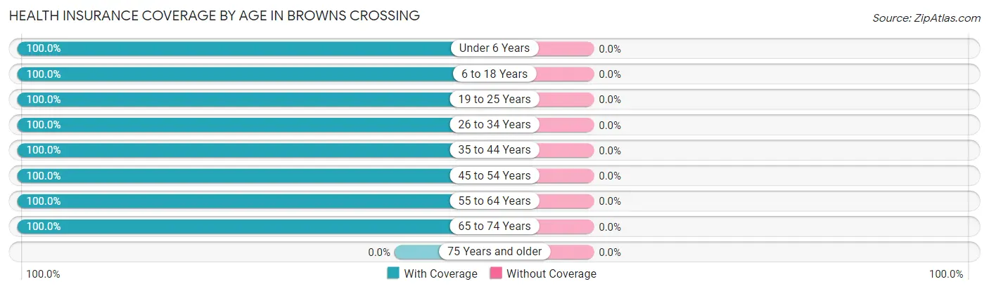 Health Insurance Coverage by Age in Browns Crossing