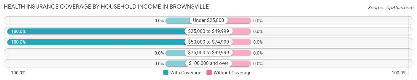 Health Insurance Coverage by Household Income in Brownsville