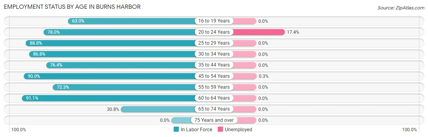 Employment Status by Age in Burns Harbor
